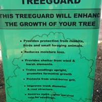 Tree guards available